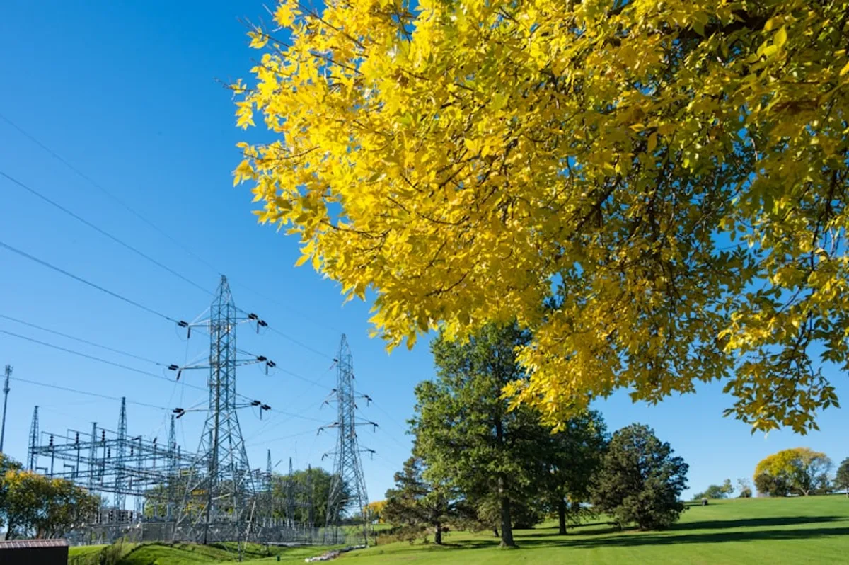 Electric utility infrastructure
